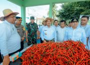 Batu Bara Lumbung Cabai Merah di Sumut,PJ.Gubsu Dukung Pembangunan Pabrik Pesta Cabai