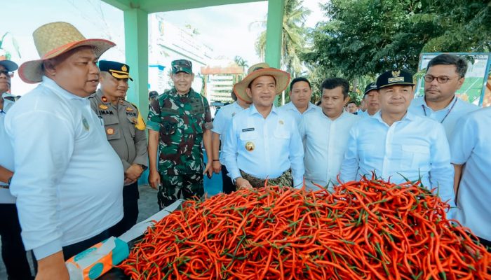 Batu Bara Lumbung Cabai Merah di Sumut,PJ.Gubsu Dukung Pembangunan Pabrik Pesta Cabai