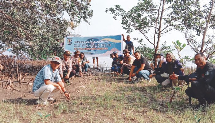 Peduli Lingkungan, Sat Polairud Polres Lembata Tanam 200 Pohon Mangrove dan Pembersihan Pantai