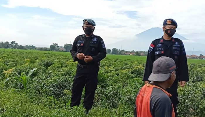 Brimob Jabar Cek Langsung Lokasi Ketahanan Pangan Di Desa Winong