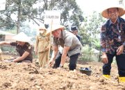 Pj. WALI KOTA CIMAHI SERAHKAN BANTUAN 5000 BIBIT CABE DARI BANK INDONESIA