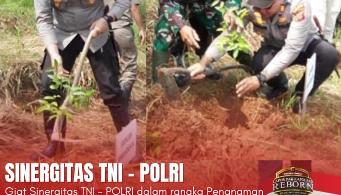 Sinergitas TNI – Polri Melalui Kegiatan Penanaman 800 Bibit Pohon di Desa Cinta Karya ,Kecamatan Sindang Kereta, Kabupaten Bandung Barat