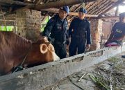 BRIMOB JABAR LAKSANAKAN PATROLI HARKAMTIBMAS ANTISIPASI PENCURIAN HEWAN TERNAK