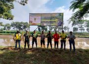 SEKTOR 6 CITARUM HARUM MELAKSANAKAN PENANAMAN VERTIVER UNTUK MENCEGAH LONGSOR DI BANTARAN SUNGAI CITARUM