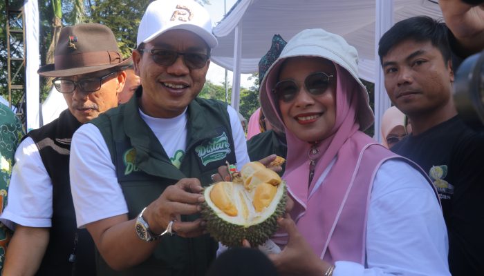 Dadang Supriatna: Membuka Cakrawala Bisnis Durian Mancanegara