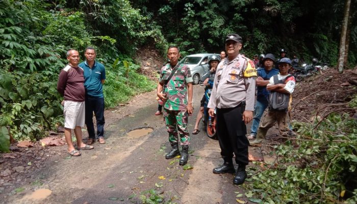 Kabid Humas Polda Jabar : Jalan Tertutup Pohon Tumbang, Polisi Lakukan Pembersihan Jalur di Jalan Utama Desa Cijambe