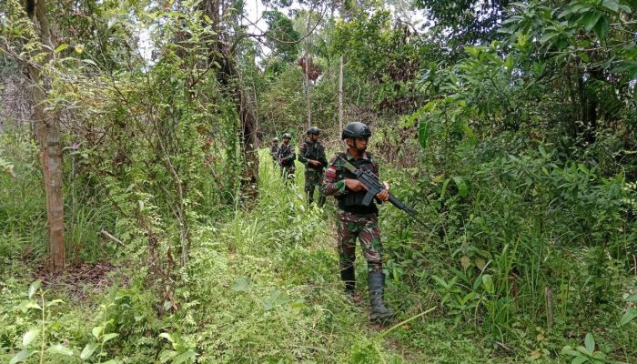 Tingkatkan Stabilitas Keamanan, Satgas Yonif 125/SMB Melaksanakan Patroli Keamanan Di Papua