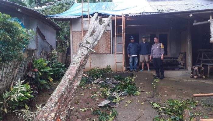 Kabid Humas Polda Jabar : Polisi Bersama Instansi Terkait Dan Warga Masyarakat Sekitar Bantu Evakuasi Satu Rumah Tertimpa Pohon Tumbang