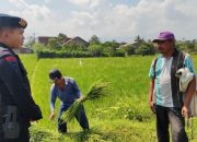 Dukung Program Ketahanan Pangan Nasional, Brimob  Jabar dan Tingkatkan Pembinaan Warga Desa Di wilayah Bandung 