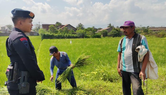 Dukung Program Ketahanan Pangan Nasional, Brimob  Jabar dan Tingkatkan Pembinaan Warga Desa Di wilayah Bandung 