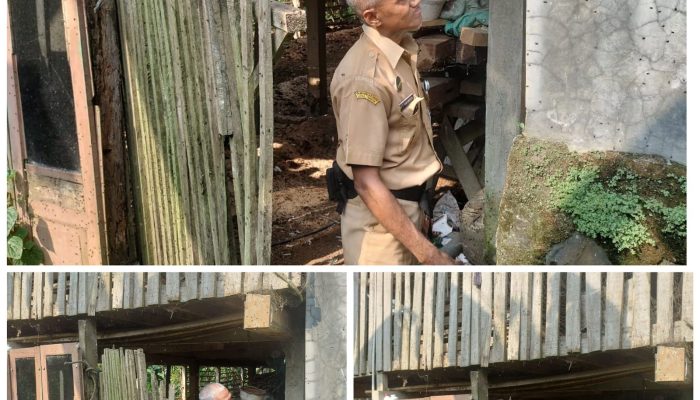 Akibat Pencemaran Lingkungan, Warga Desa Siguci Resah dan Tuntut Pengusaha Ayam