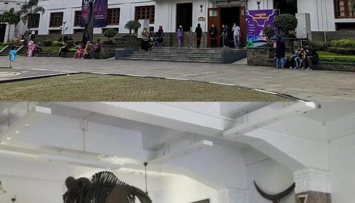 Museum Bersejarah yang berada di Bandung Museum Geologi