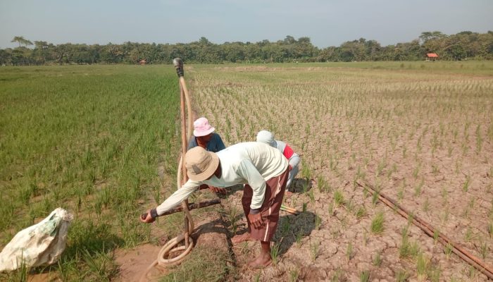 Kabid Humas Polda Jabar : Pembuatan Sumur Pantek di Blok Sawah Dsn/Desa Ujungjaya Sumedang Cegah Petani Gagal Panen