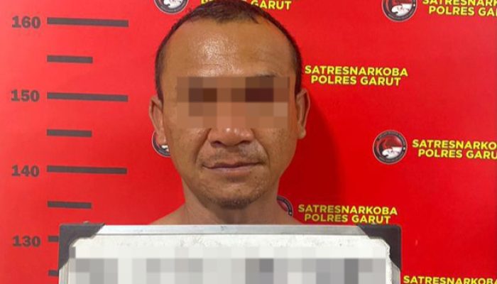 Polres Garut Amankan Pelaku Peredaran Daun Ganja