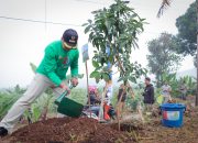 Restorasi Lahan EksTPA Leuwigajah, Pemkot Cimahi Gelar Serangkaian Acara Peringatan Hari Lingkungan Hidup Sedunia