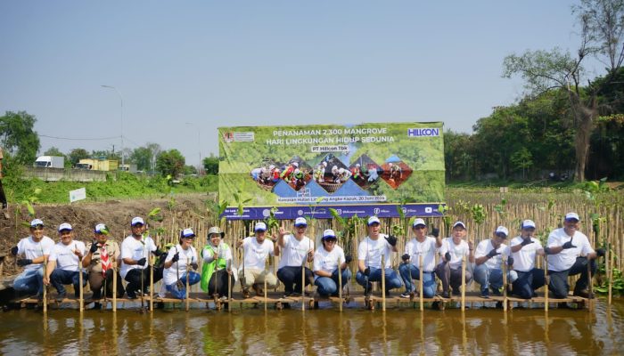 Mendukung Target Penurunan Emisi GRK Nasional, Hillcon Tanam 2.300 Mangrove