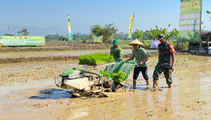 Gerakan Nasional Ketahanan Pangan, Bupati Bandung bersama Dandim 0624/Kab. Bandung Laksanakan Penanaman Padi