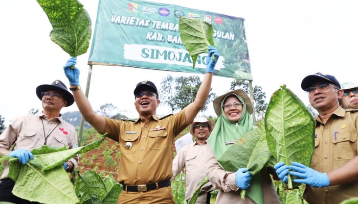 Kurang dari Seminggu, Gebyar Perbenihan Tanaman Pangan Nasional IX Siap Digelar di Soreang, Kabupaten Bandung