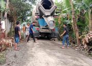 Warga Desa pengawinan kecamatan Bandung Khawatir Dampak Dari lalu lalang mobil molen yang melewati Area Pemukiman Warga