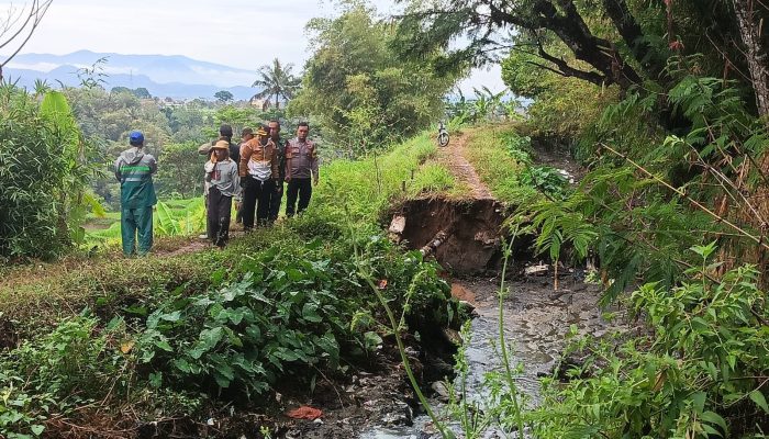 Tanah Longsor Di Desa Desakolot Rusak Sawah Warga