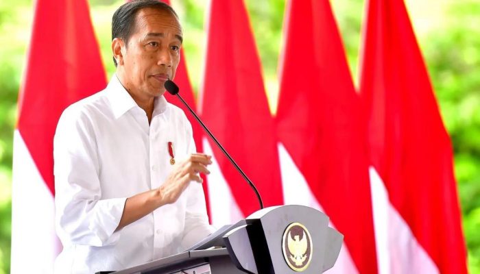 Presiden Jokowi Apresiasi TNI-Polri Atas Kebebasan Pilot Susi Air