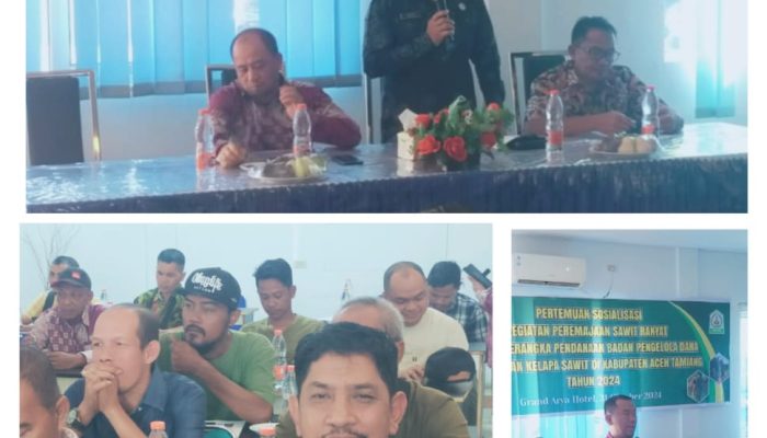 Sosialisasi Peremajaan Sawit Rakyat (PSR) Oleh Pemda Aceh Tamiang