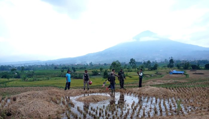 Polsek Bayongbong Cek TKP Remaja di Garut Tersambar Petir