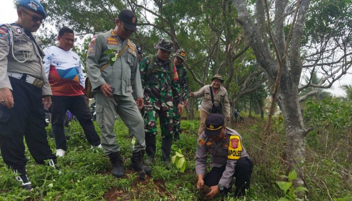 Penanaman Pohon Dalam Rangka Reboisasi Di Wilayah Pesisir