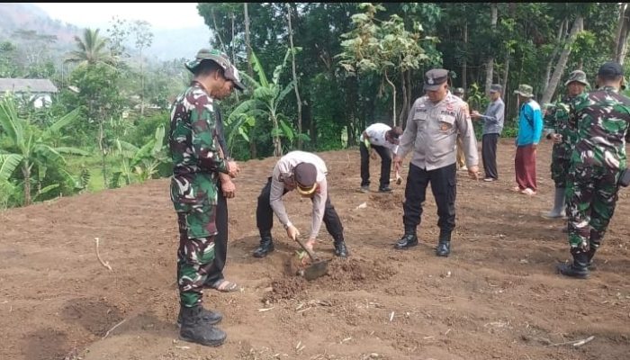 Penanaman Pohon Sukun Dalam Mendukung Ketahanan Pangan