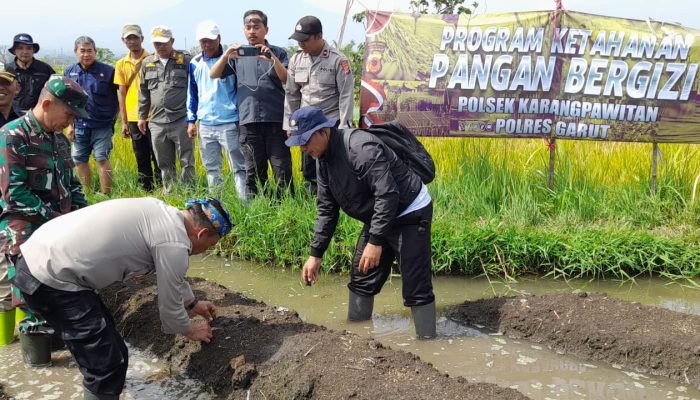 Dukung Program Ketahanan Pangan, Polsek Karangpawitan Manfaatkan Lahan Kosong