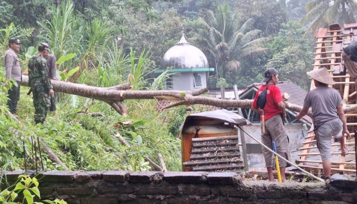 Polisi Datangi TKP Pohon Tumbang Menimpa Rumah di Margaharja