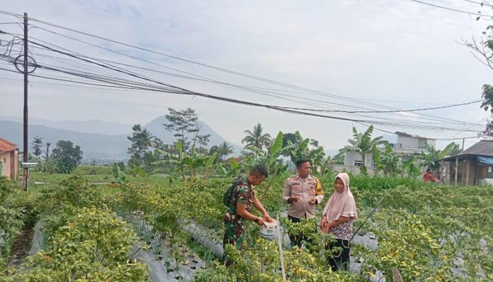 Bhabinkamtibmas Polsek Leles Lakukan Pembinaan Ketahanan Pangan di Desa Lembang