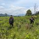 Sat Samapta Polres Garut Lakukan Pengamanan Perkebunan Teh PTPN