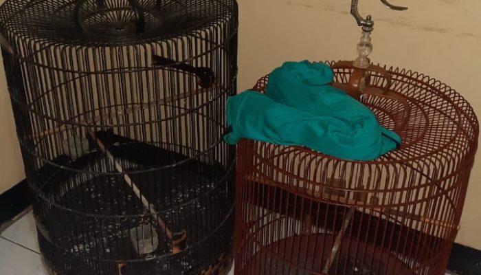 Polsek Tarogong Kidul amankan Satu Orang Pelaku Pencurian Burung Dengan Modus Penipuan