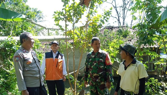 Sinergitas TNI POLRI Bantu Evakuasi Pohon Tumbang Menimpa Rumah Akibat Angin Kencang