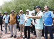 Sukseskan HPSN 2025, Pemkab Tangerang Tanam Mangrove dan Bersih-Bersih Pantai