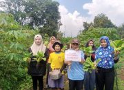 Jelang Ramadhan 1446 H, Rumah Zakat Gelar Program Borong Berbagi untuk Petani dan Pedagang