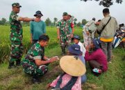 Babinsa Berbagi Ilmu Dengan Petani di Pinggir Sawah