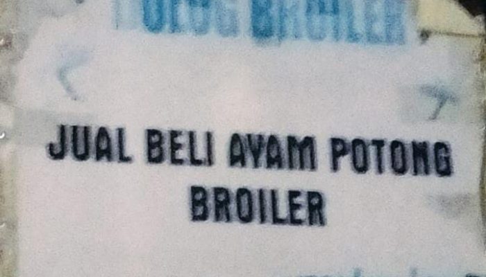 Diduga Jadi Tempat Pemotongan Ayam Curian, Tempel Broiler Milik Haji Dedi di Karawang Terbongkar