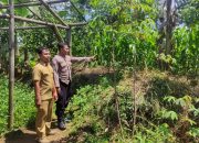 Wujudkan Desa Aman, Bhabinkamtibmas Sukahaji Gencarkan Door to Door System