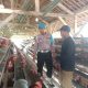 Polsek Bantarujeg Cek Ketahanan Pangan di Desa Haurgeulis Lewat Program PPB