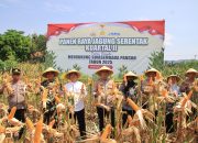 Melalui Virtual Zoom, Polres Majalengka Ikuti Panen Raya Jagung Secara Serentak Kuartal II Tahun 2025