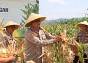 Melalui Virtual Zoom, Polres Majalengka Ikuti Panen Raya Jagung Secara Serentak Kuartal II Tahun 2025