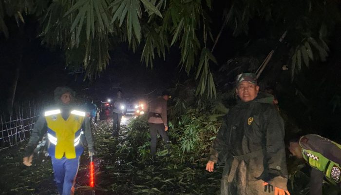 Gerak Cepat Polisi Garut: Pohon Tumbang di Cilawu Dievakuasi, Lalu Lintas Kembali Normal!