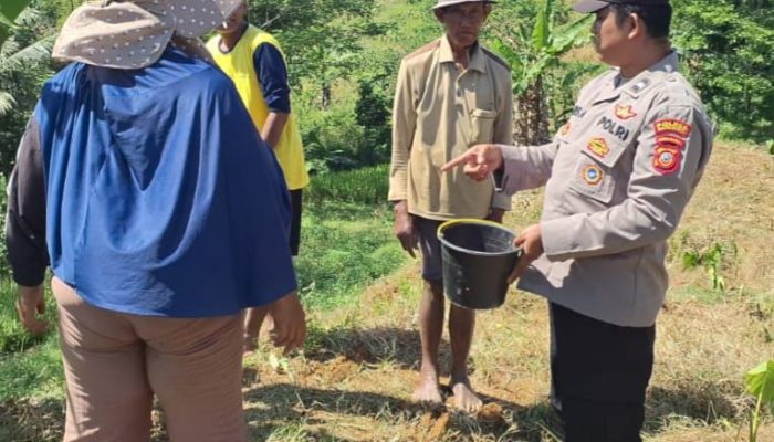 Dukung Program Asta Cita Presiden RI, Kanit Binmas Polsek Talaga Laksanakan Monitoring Ketahanan Pangan