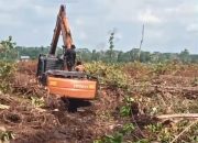 Fahmi Di Duga Penyedia Excavator Merusak Sawit Milik Warga Masyarakat Kampung D.30 Kabupaten Bengkalis Provinsi Riau, Lembaga Aliansi Indonesia Akan Segera Membongkar Kasus Tersebut Sampai Selesai