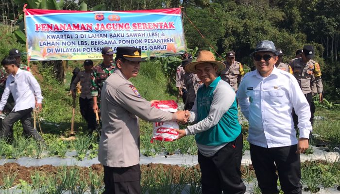 Polres Garut dan Polsek Jajaran Tanam Jagung Serentak, Dukung Swasembada Pangan