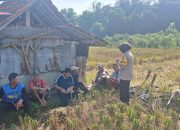 Bhabinkamtibmas Brigadir Nia Sri Kusnindar Sambangi Petani di Desa Jayi, Wujudkan Kedekatan dengan Warga