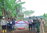 Polres Garut Bersama Polsek Jajaran Tinjau Lahan Pangan Jagung, Wujud Dukungan Program Ketahanan Pangan Nasional