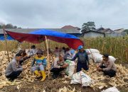 Wakapolres Majalengka Bersama Pejabat Utama Sambangi Petani Panen Jagung di Desa Cibodas
